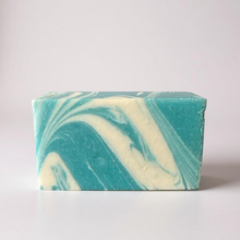 Load image into Gallery viewer, Antibacterial Body Soap