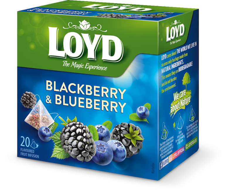 LOYD Blackberry & Blueberry Fruit Infusion /  Pyramids 20 x 2g